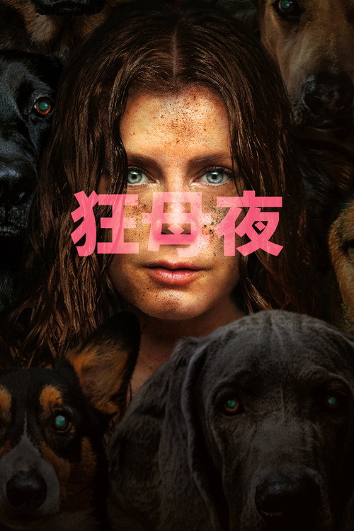 夜母