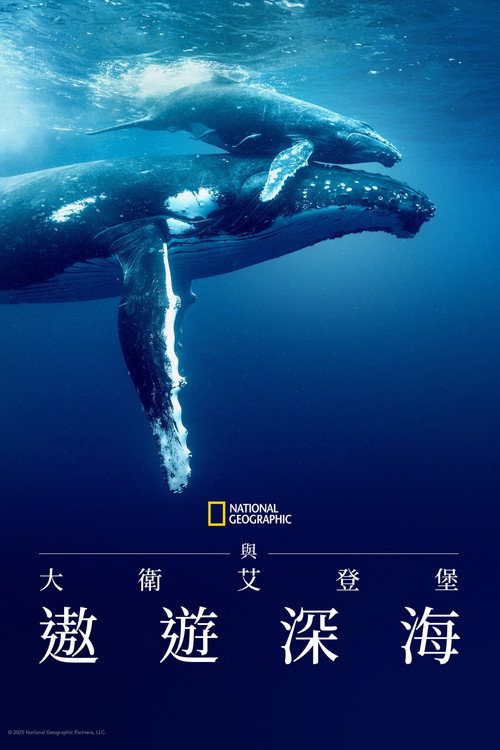 大卫·爱登堡:海洋