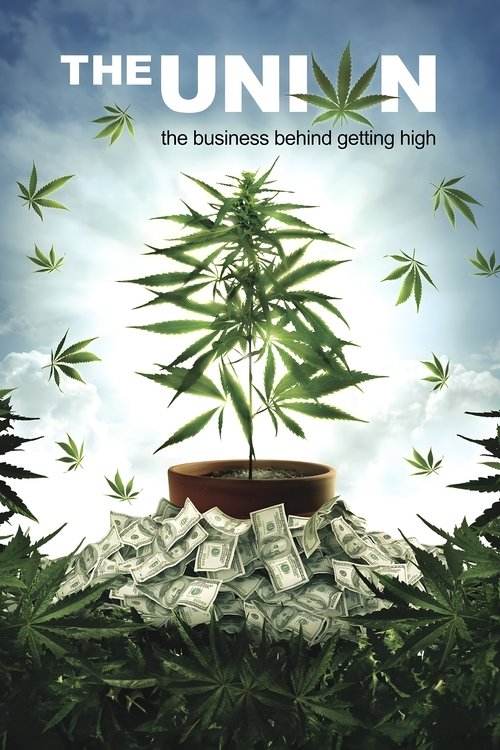 大麻调查