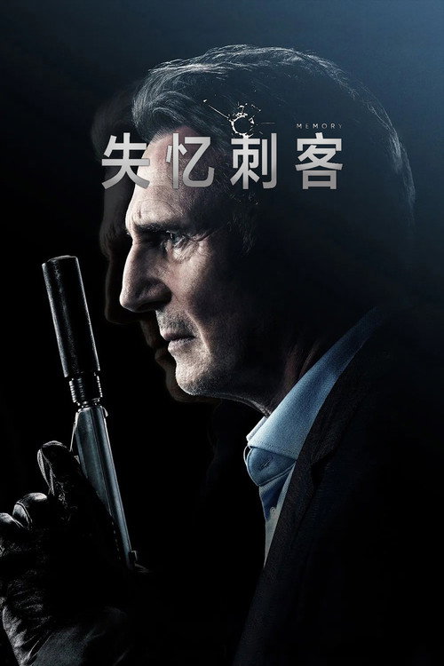 失忆刺客