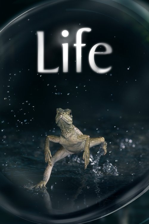 生命