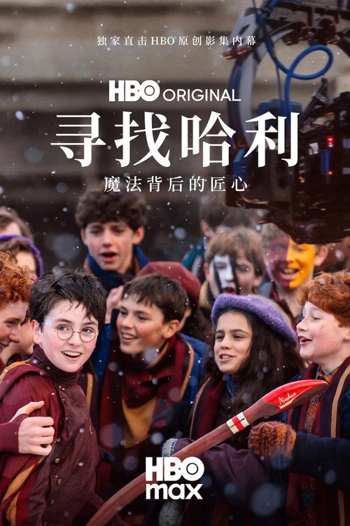 寻找哈利:魔法背后的匠心