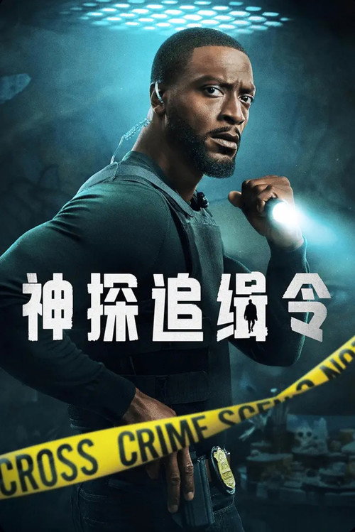 神探追缉令