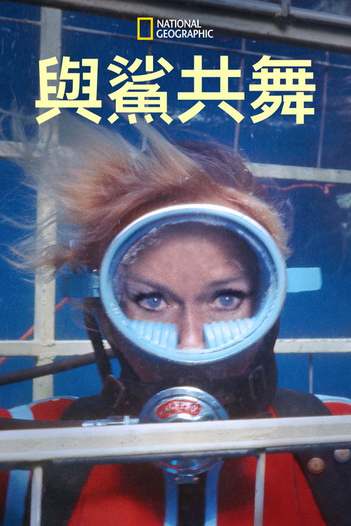 与鲨共舞