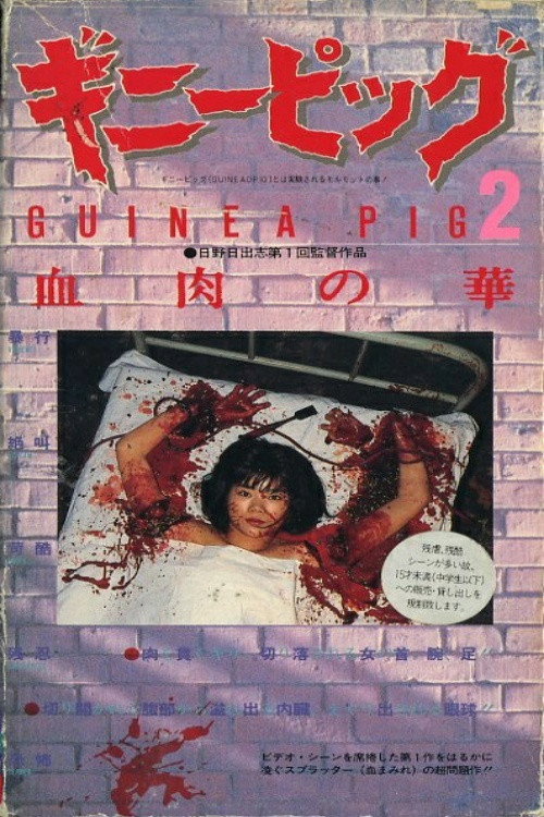 豚鼠2:血肉之花
