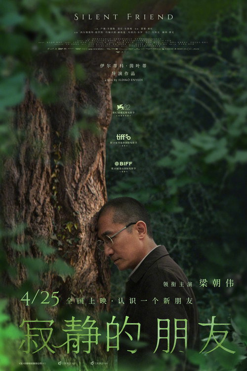 寂静的朋友