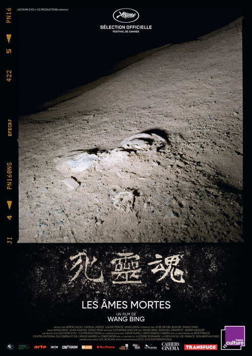 死灵魂