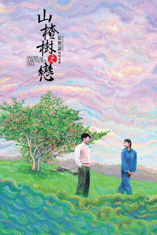 山楂树之恋