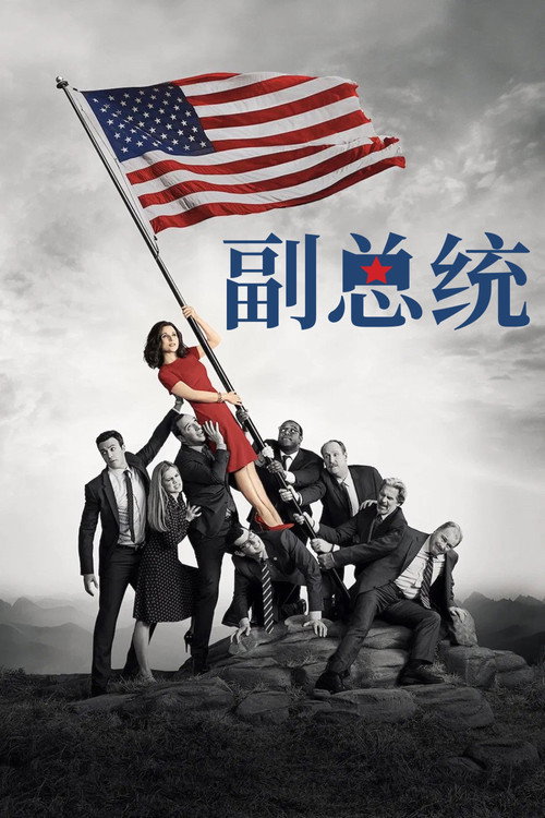 副总统