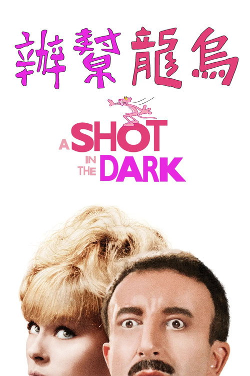 粉红豹系列:黑夜怪枪