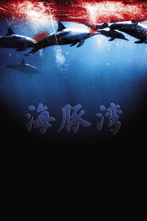 海豚湾