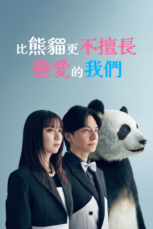 比熊猫更不擅长恋爱的我们
