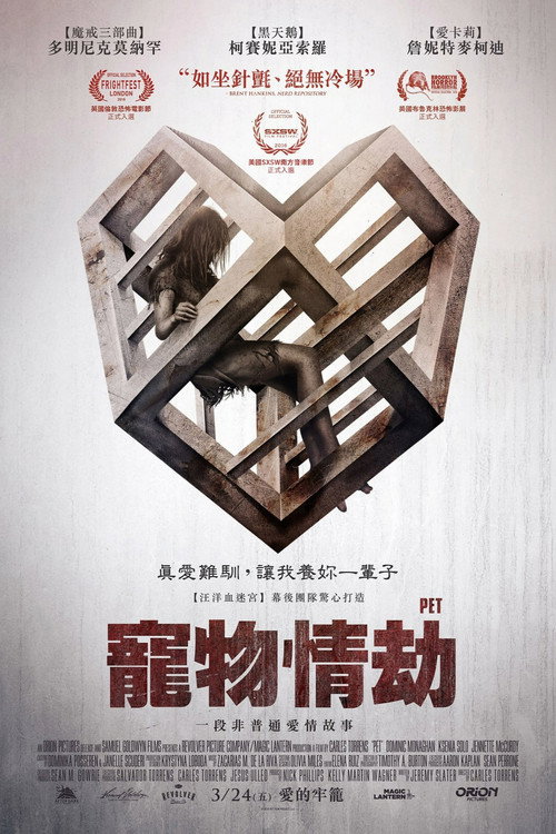 爱宠