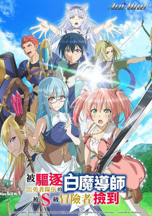 被驱逐开勇者派对的白魔导师,被S级冒险者捡到 ~这个白魔导师超规格~