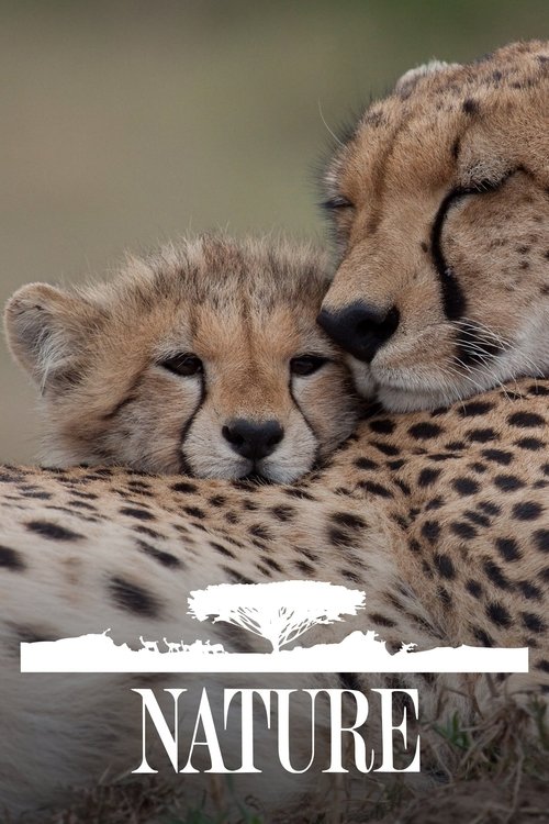 自然