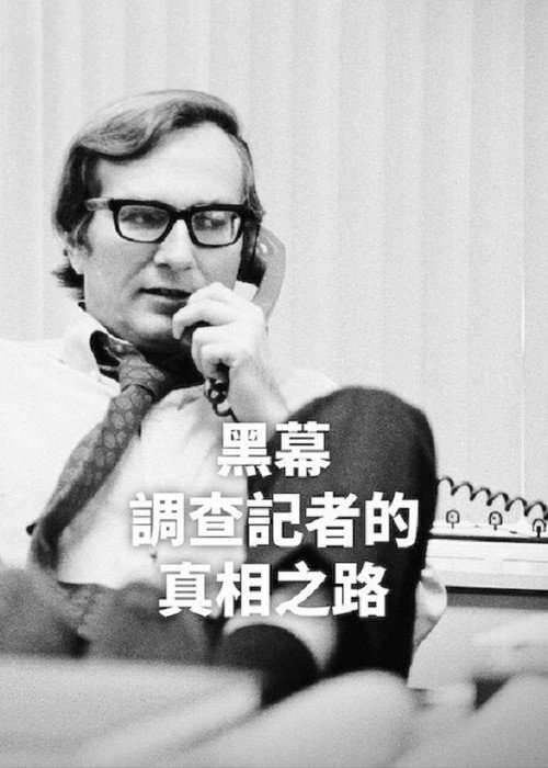 黑幕：调查记者的真相之路