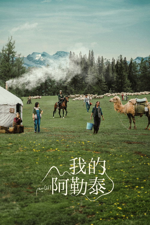 我的阿勒泰