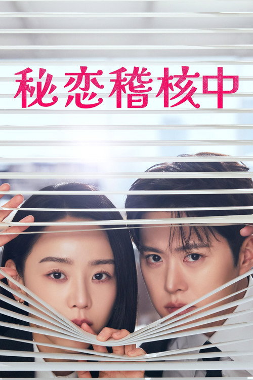 秘恋稽核中