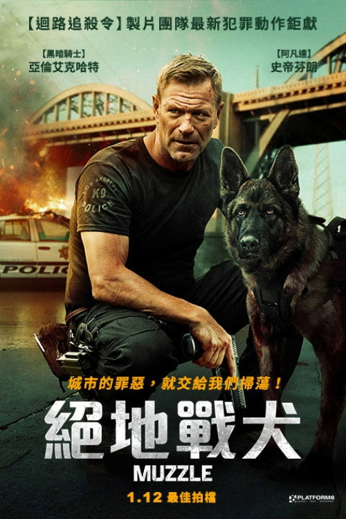 神探忠犬