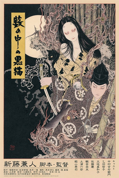 黑猫