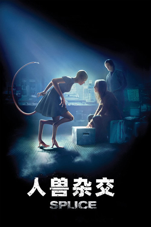人工进化
