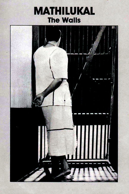 墙