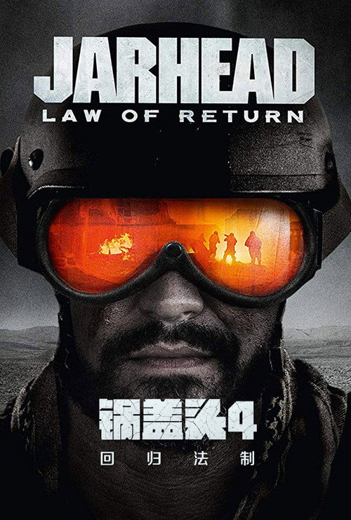锅盖头4:回归法制