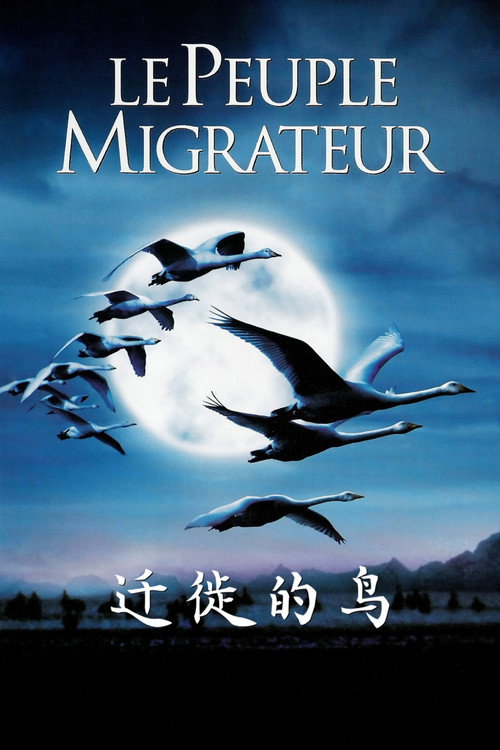 迁徙的鸟