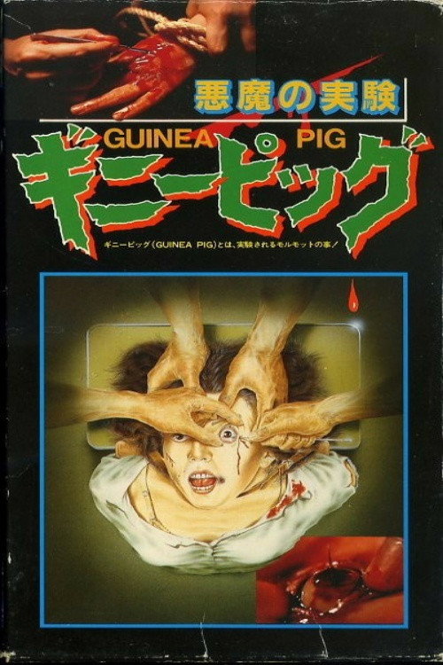 豚鼠1:恶魔实验