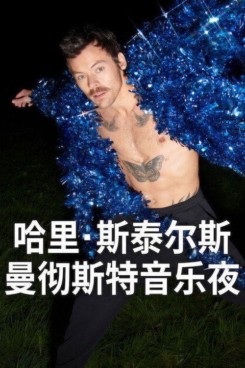 哈里·斯泰尔斯:曼彻斯特音乐夜