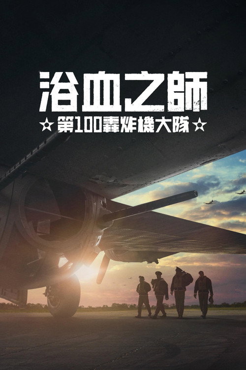 浴血之师:第100轰炸机大队