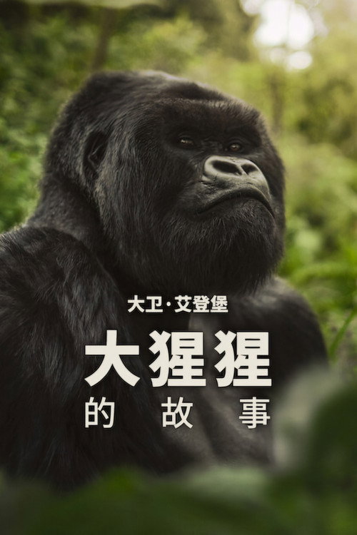 大卫·艾登堡:大猩猩的故事