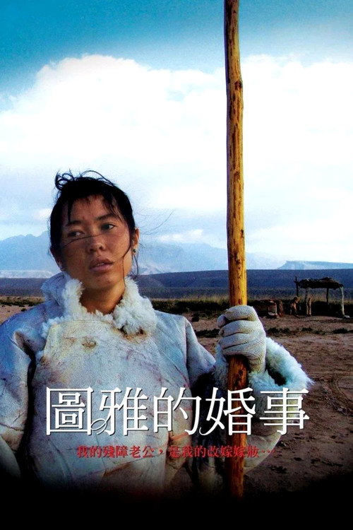 图雅的婚事